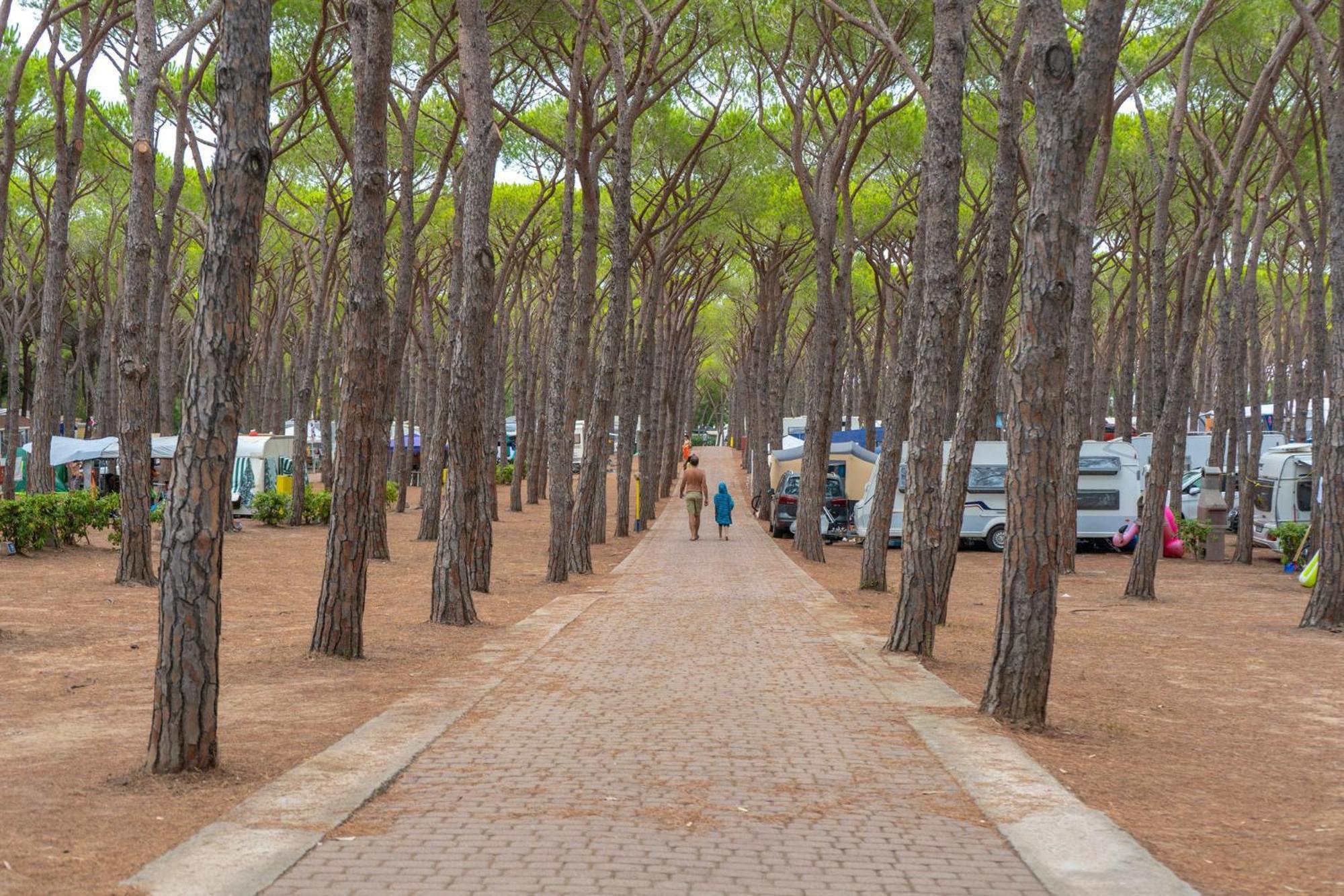 Camping Village Baia Blu La Tortuga Aglientu Dış mekan fotoğraf